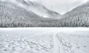 Winter-Landschaft